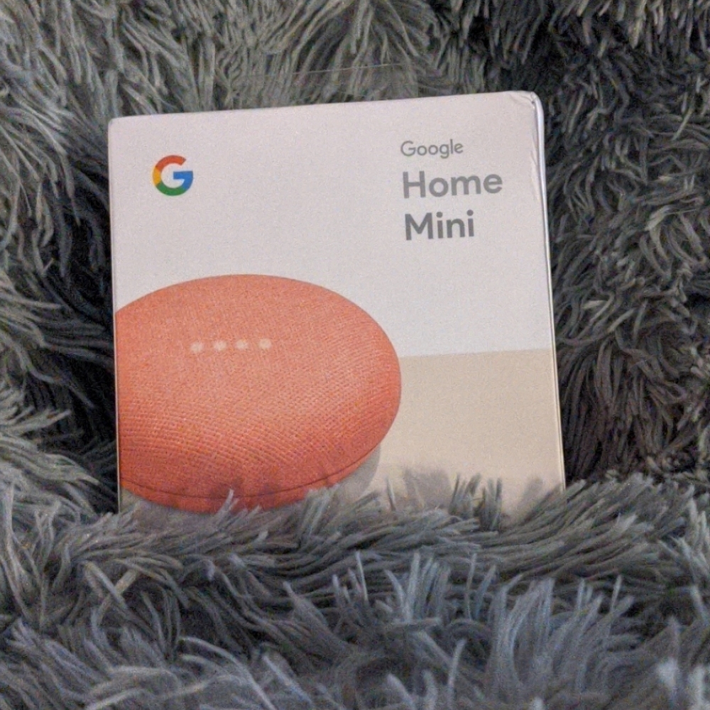 Google Home Mini